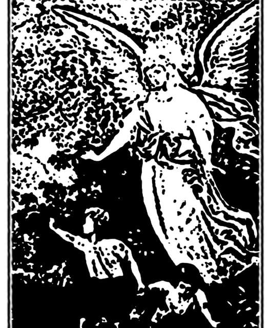 Capillary artist profile image