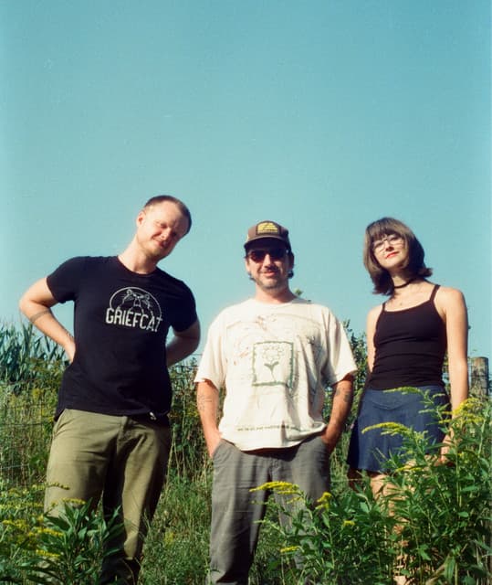 Susto Stringband's artist profile image