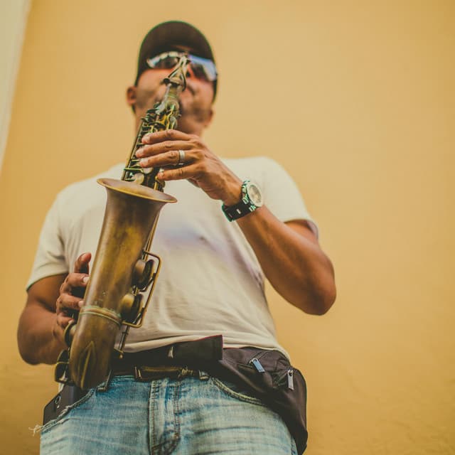 Brasilian Tropical Orchestra artist profile image