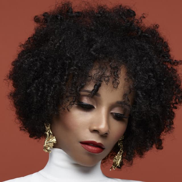 Vivian Green's artist profile image