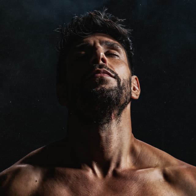 Idan Amedi artist profile image