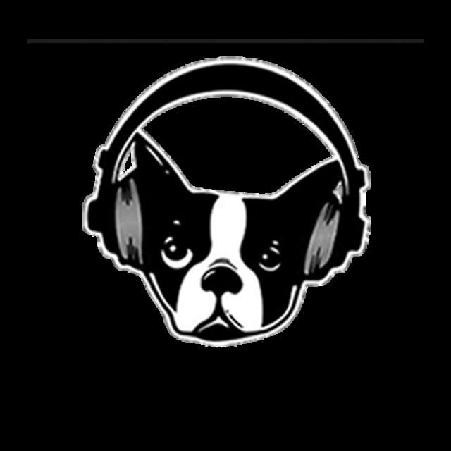 Snarky Puppy's artist profile image