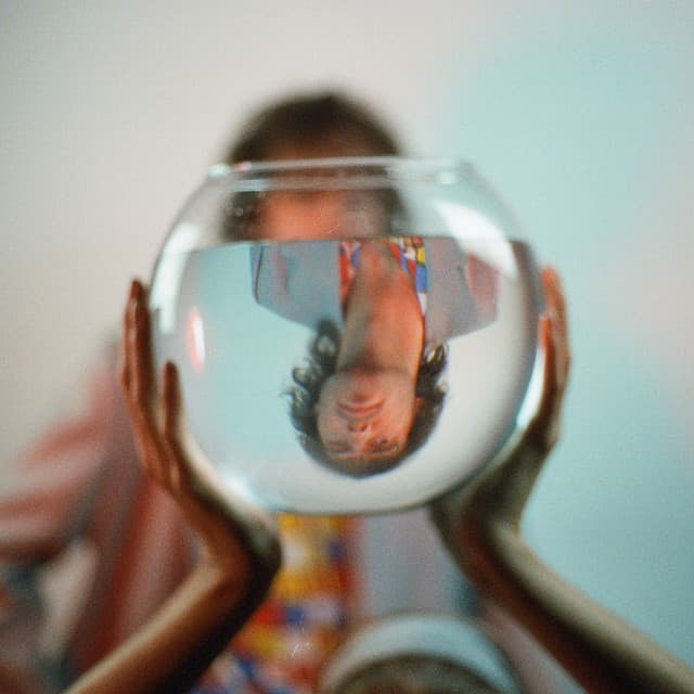 Louis Prince artist profile image