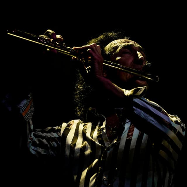 Alexander Zonjic's artist profile image