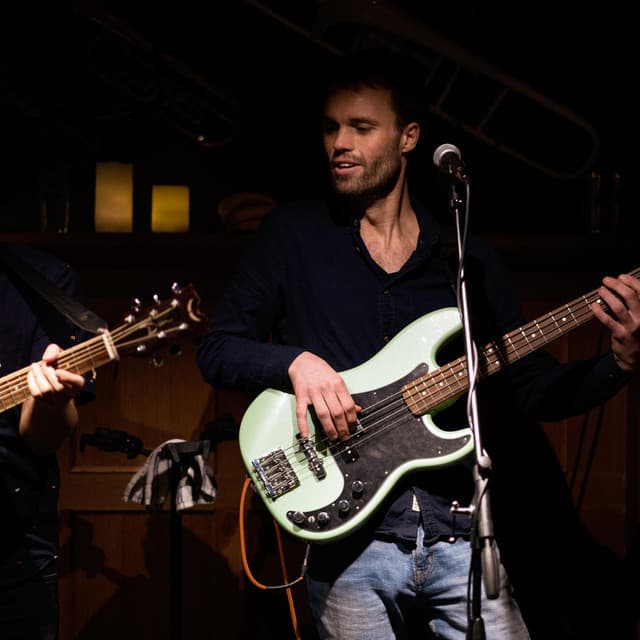 Bergs artist profile image