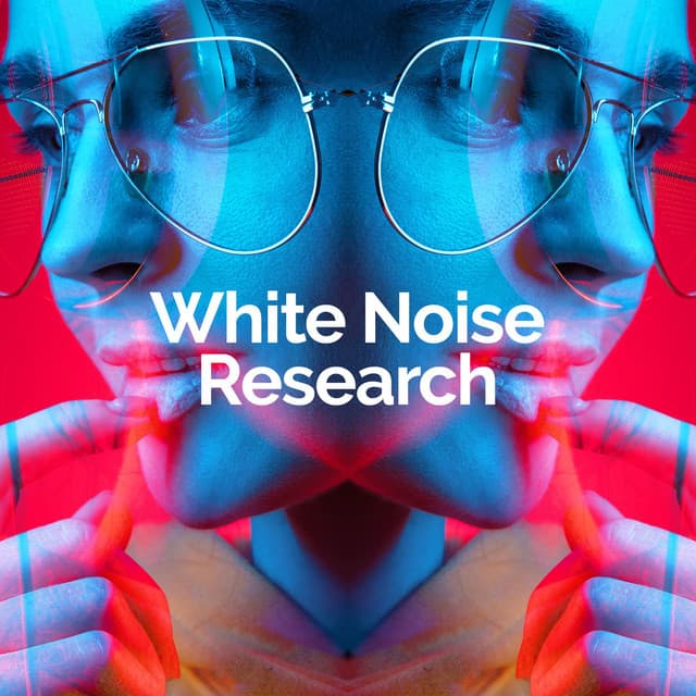 White Noise Research artist profile image