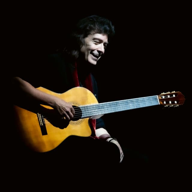 Steve Hackett's artist profile image