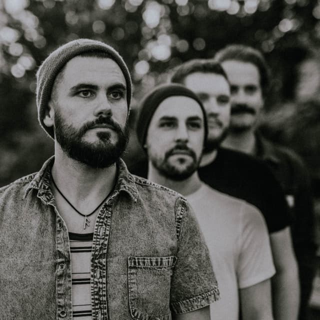 Fever Fever artist profile image