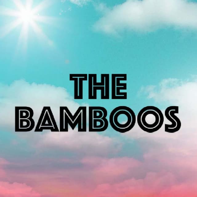 The Bamboos artist profile image