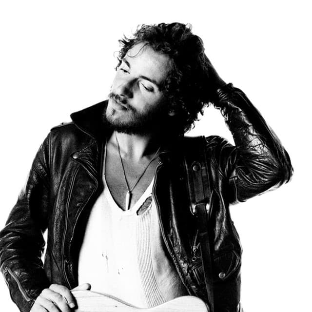 Bruce Springsteen artist profile image