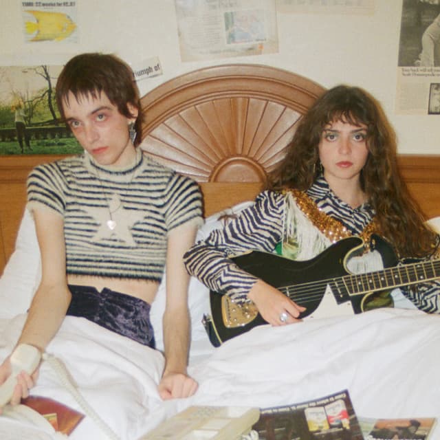 The Velveteers artist profile image