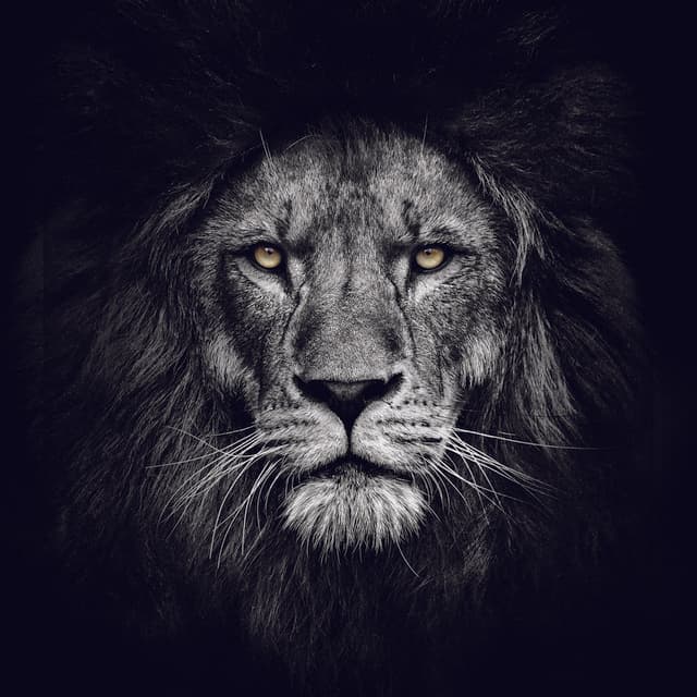 Citizen Way artist profile image