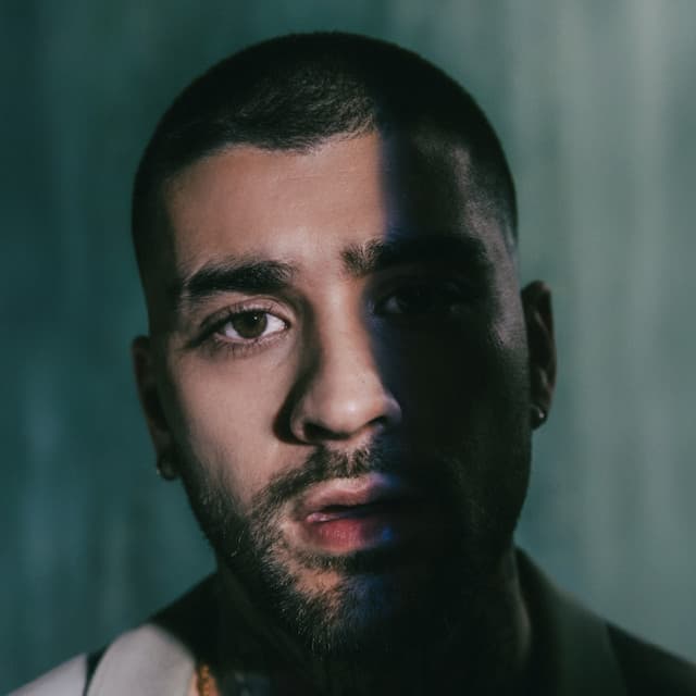 ZAYN artist profile image