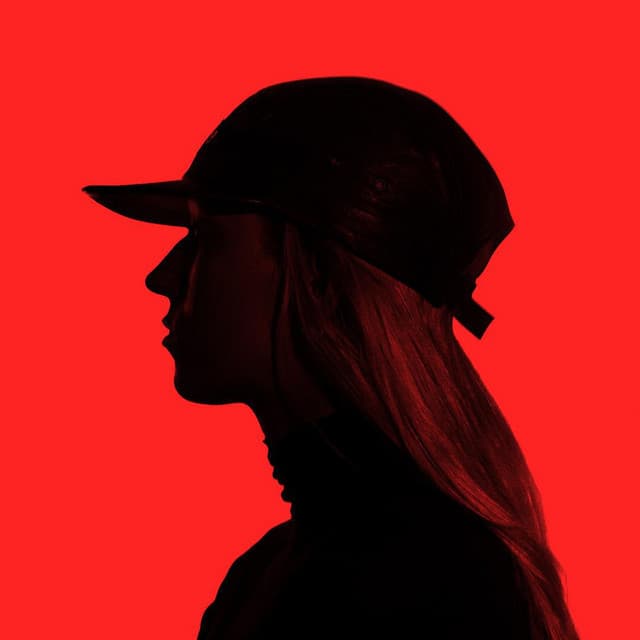 Flava D's artist profile image