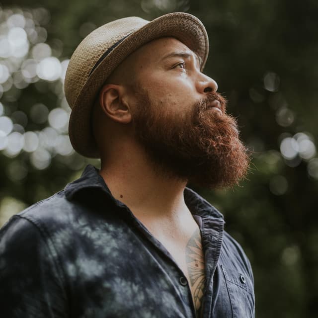 Tavana artist profile image