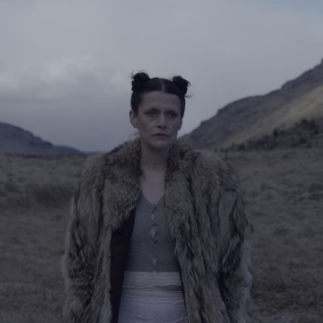 El Perro del Mar's artist profile image