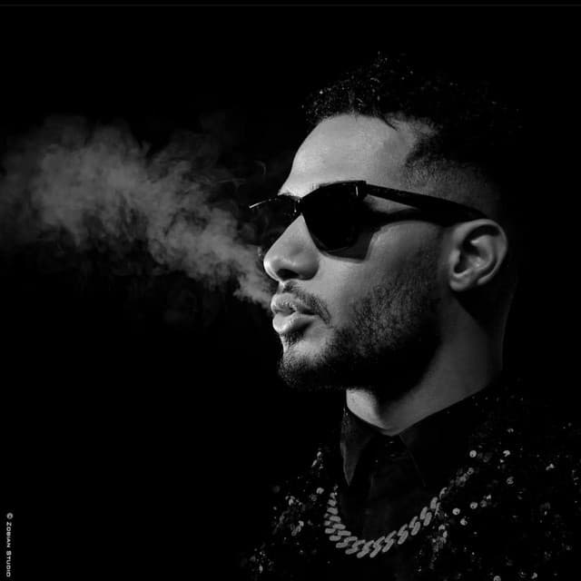 Mohamed Ramadan artist profile image