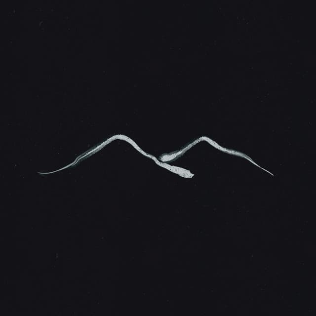 The Brothers Bright artist profile image