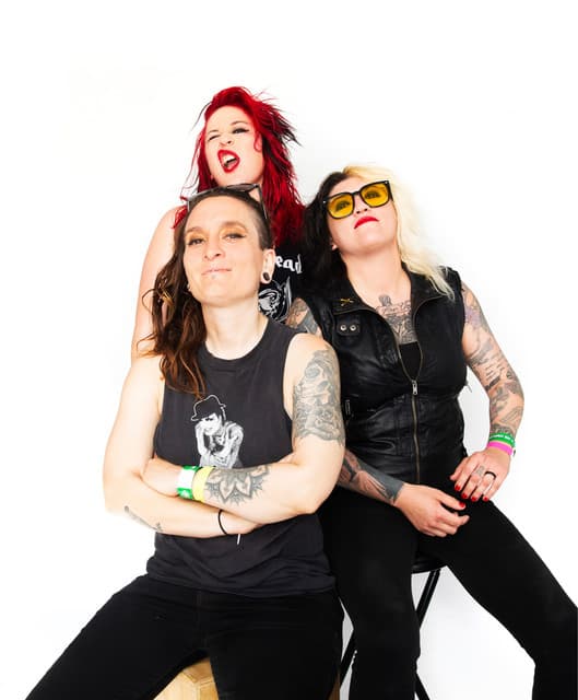 The Venomous Pinks's artist profile image