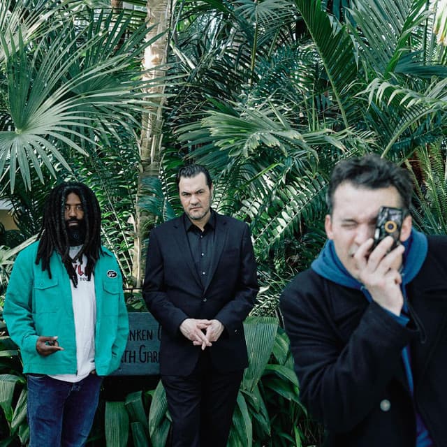 Felt artist profile image