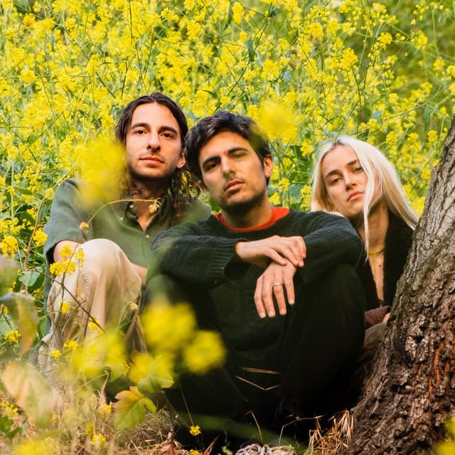 Peel Dream Magazine's artist profile image