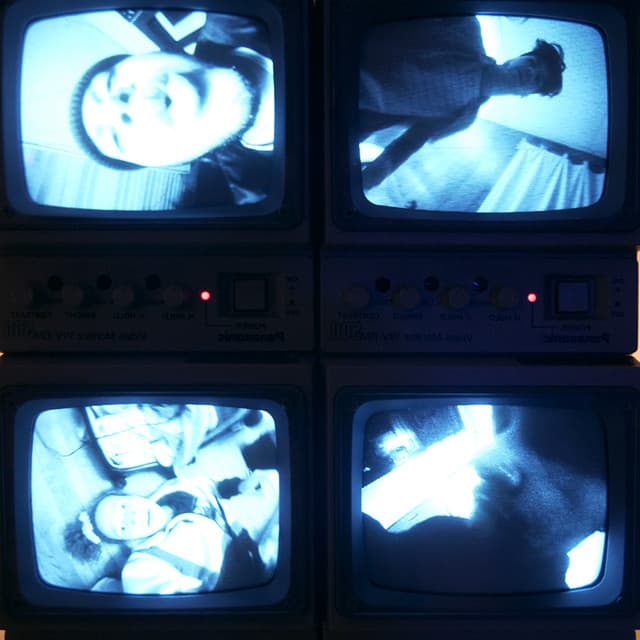 altopalo artist profile image