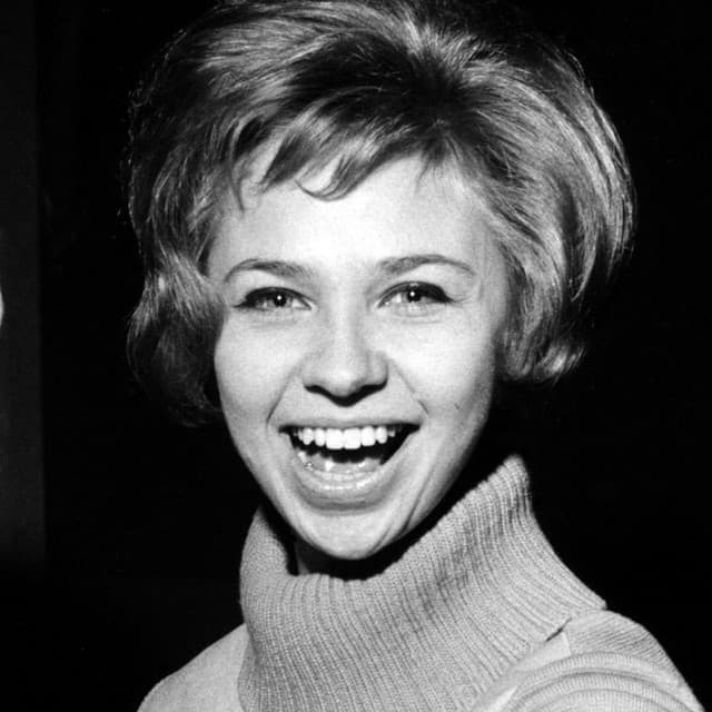 Anita Lindblom artist profile image