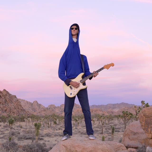 Delicate Steve's artist profile image