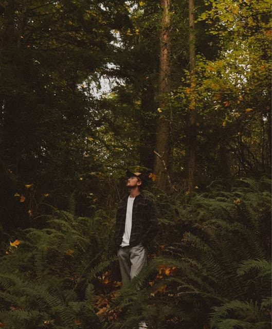 lvke artist profile image