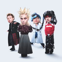 5 Seconds of Summer's artist profile image