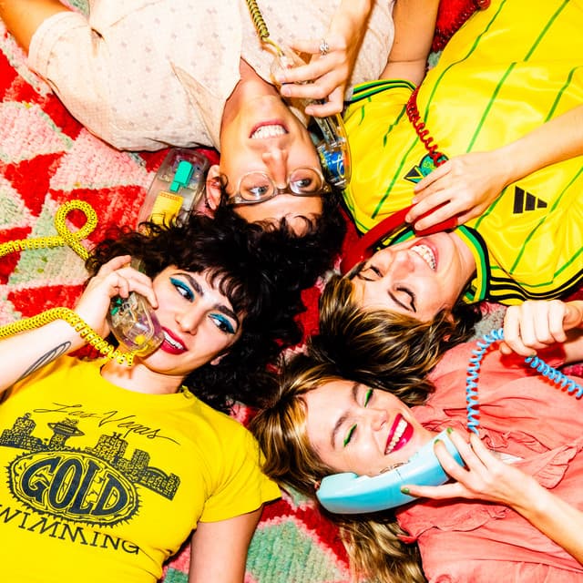 The Paranoyds's artist profile image