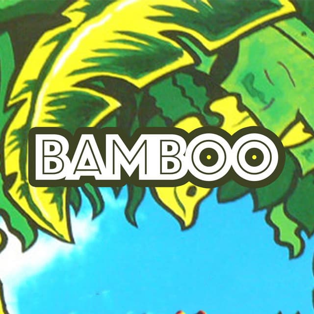Bamboo artist profile image
