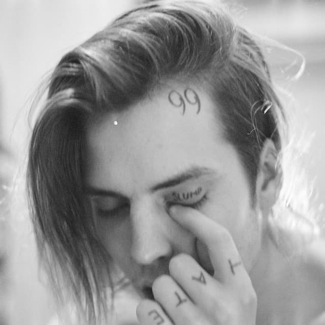 Steven Moses artist profile image