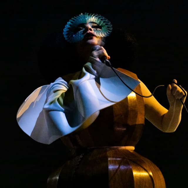 Björk artist profile image