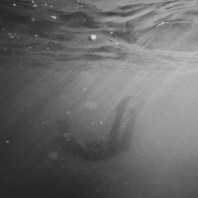 BEACH W artist profile image