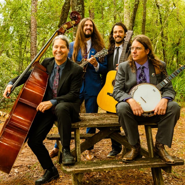 Henhouse Prowlers's artist profile image