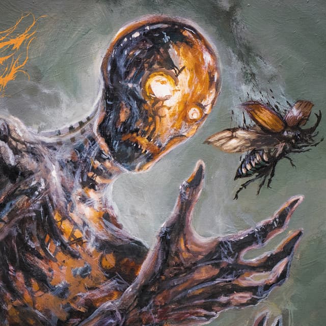 Wormhole's artist profile image