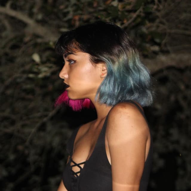Backseat Vagabond artist profile image