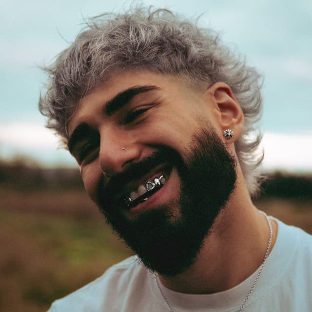 shamlo artist profile image