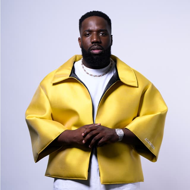 Vegedream artist profile image