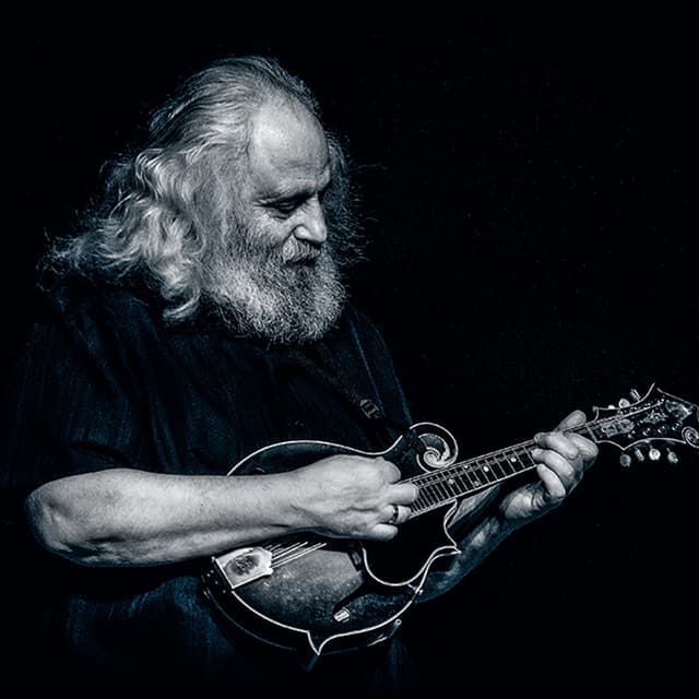 David Grisman artist profile image