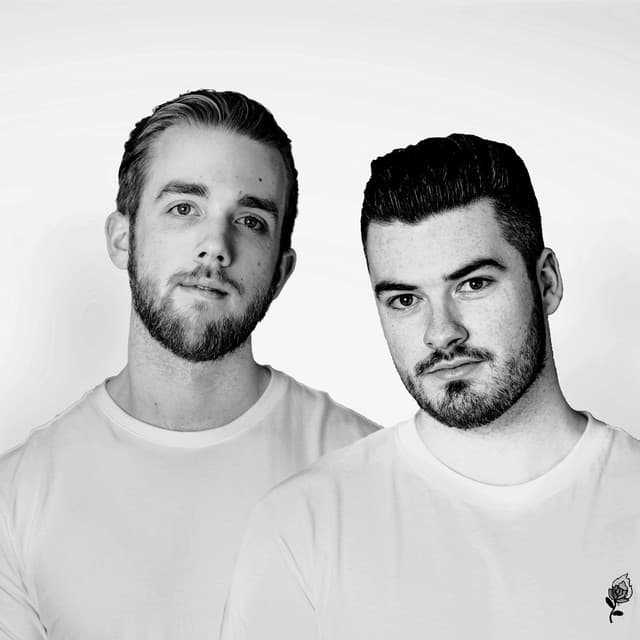 Wild Cards artist profile image