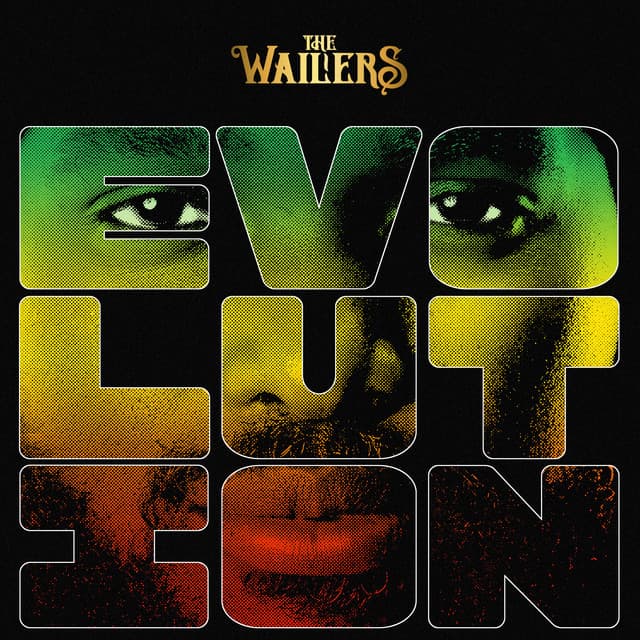 The Wailers's artist profile image