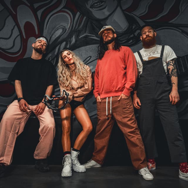 Walk off the Earth's artist profile image