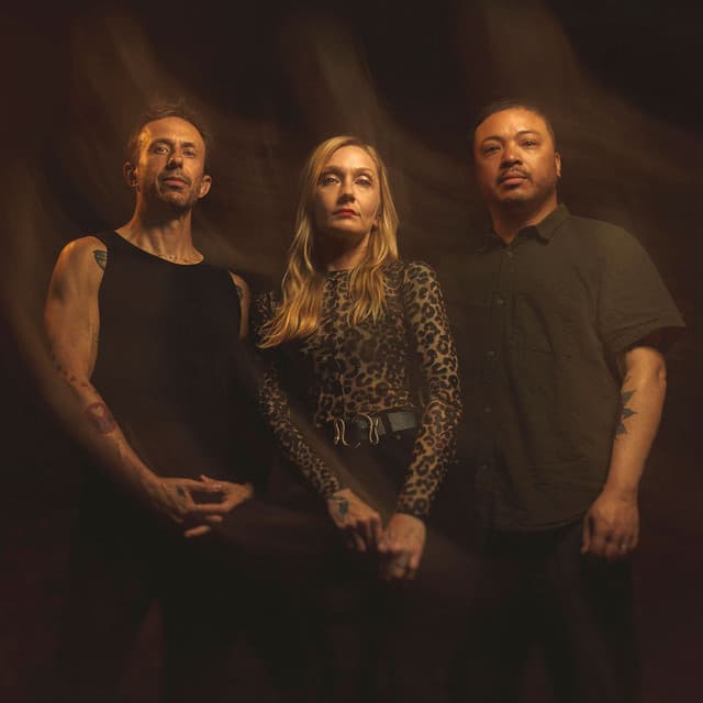 Spotlights artist profile