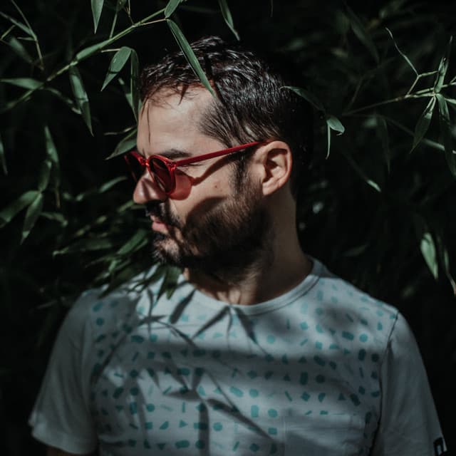 The Bongo Hop artist profile image