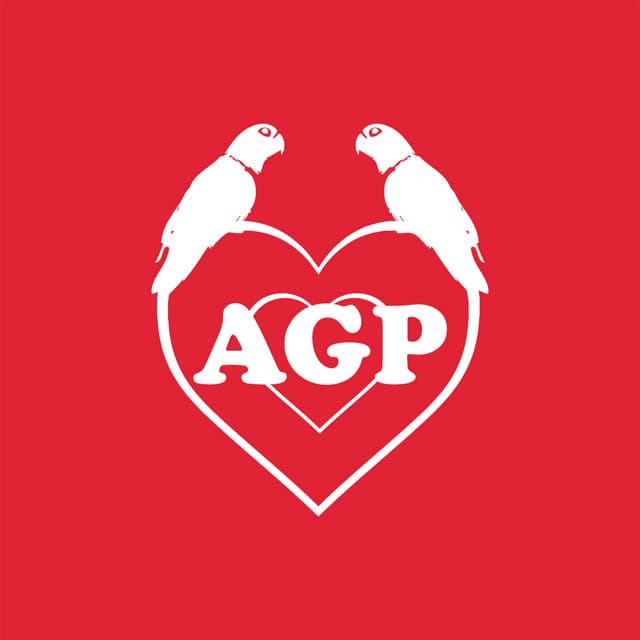 Agapornis profile