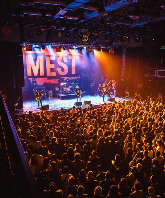 Mest's artist profile image