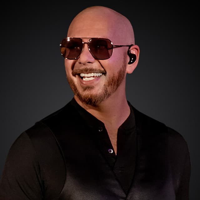 Pitbull artist profile image