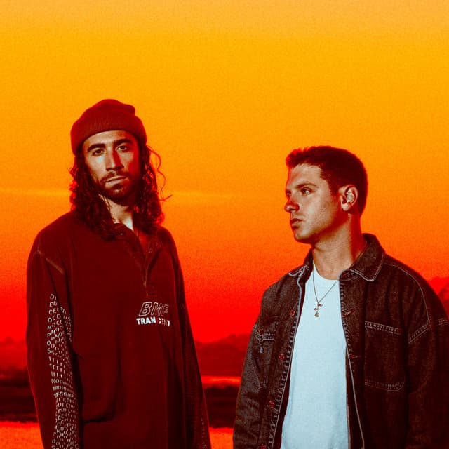 pink roses artist profile image